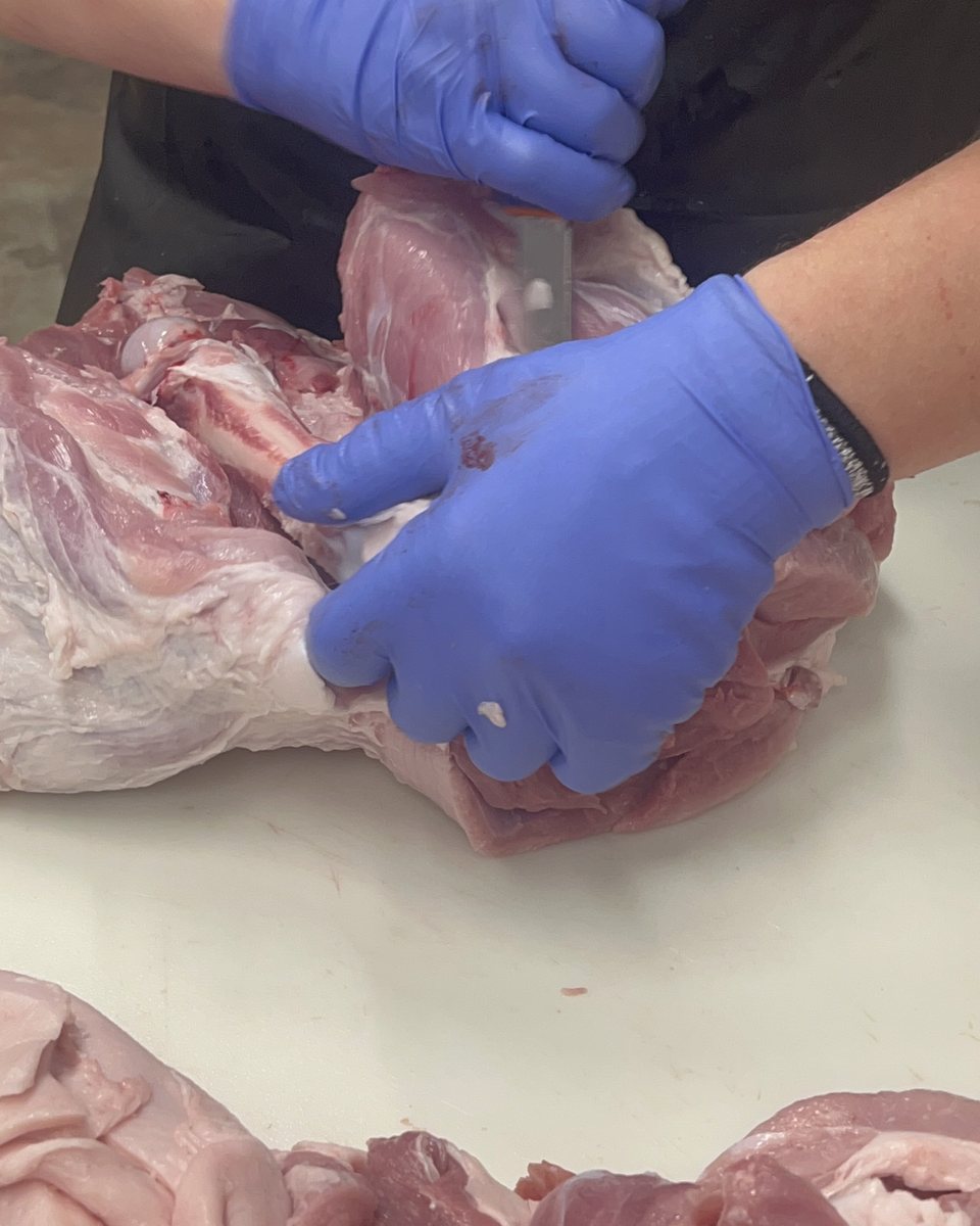 Two gloved hands working a cut apart with a boning knife